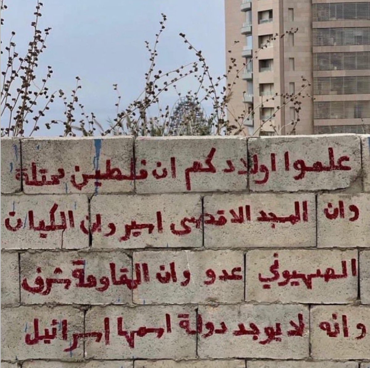 adhamsharkawi's tweet photo. علِّموا أولادكم! https://t.co/2qhPmV3BsJ