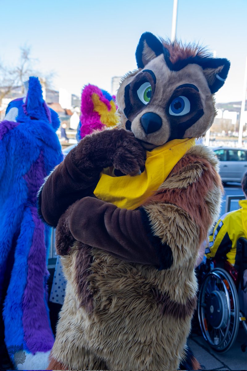 HarukiTanuki's tweet photo. Happy #FursuitFriday https://t.co/4TRfd4WtNF