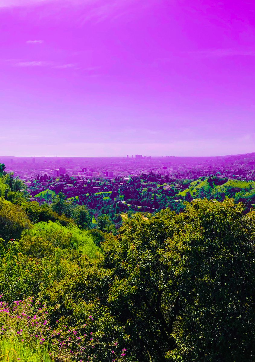 laurajauld's tweet image. A colorful spring🩷

#colorfulspring #springtime #brightcolors #hillside