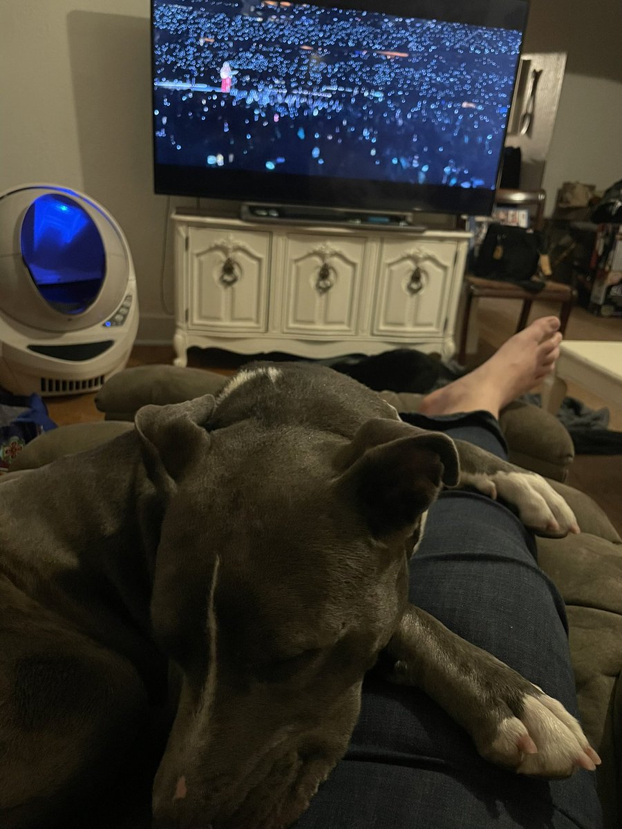 It’s late and her momma does know…..pupper is struggling to make it through #TSTheErasTourTaylorsVersion