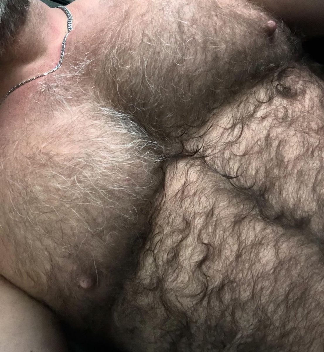 Ordinaryotter tweet media