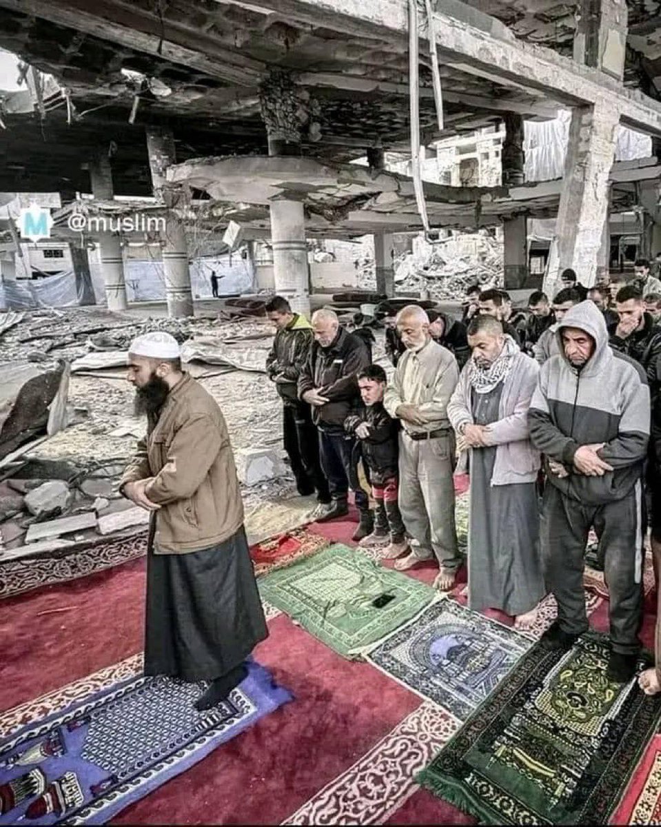 Dr. Zaid Alsalman tweet media