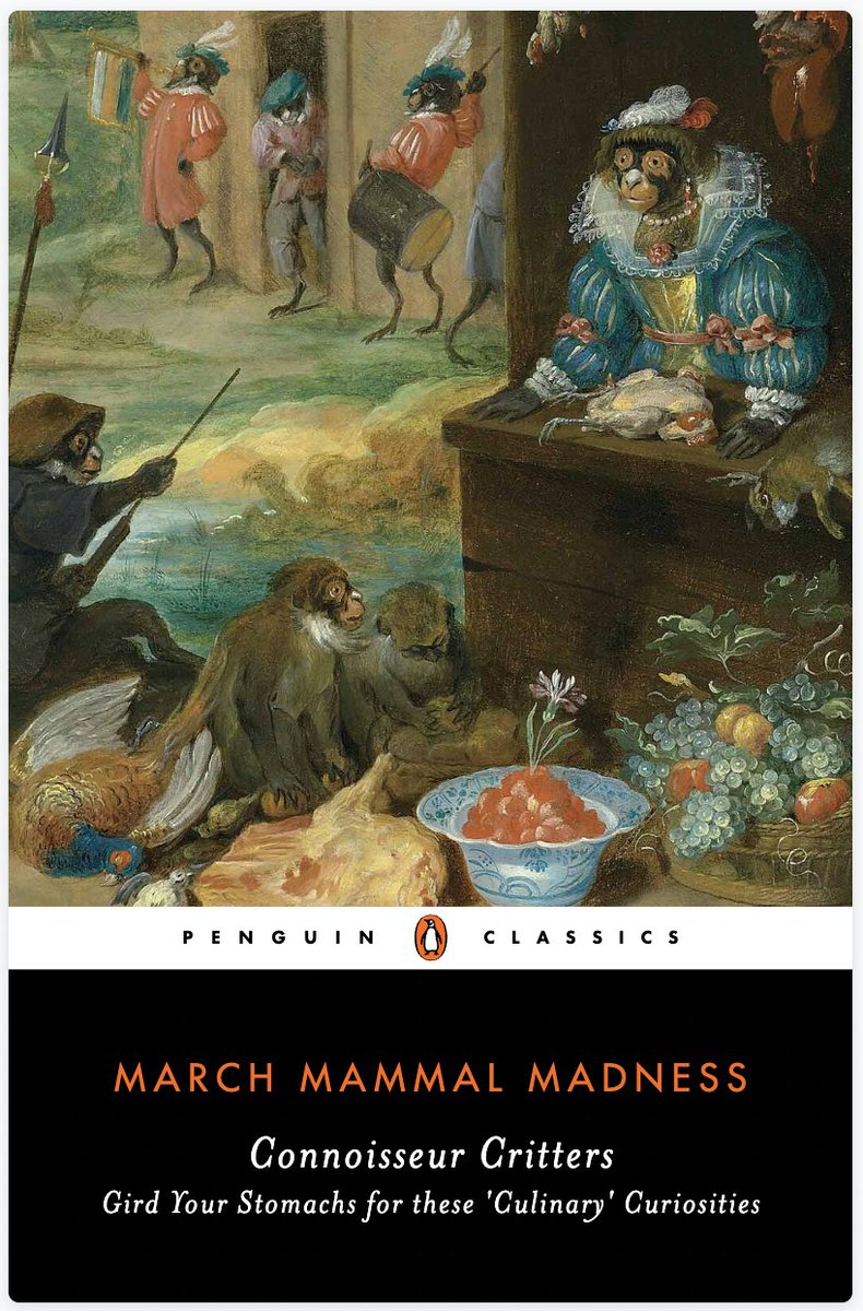 Prof. Katie Hinde tweet media