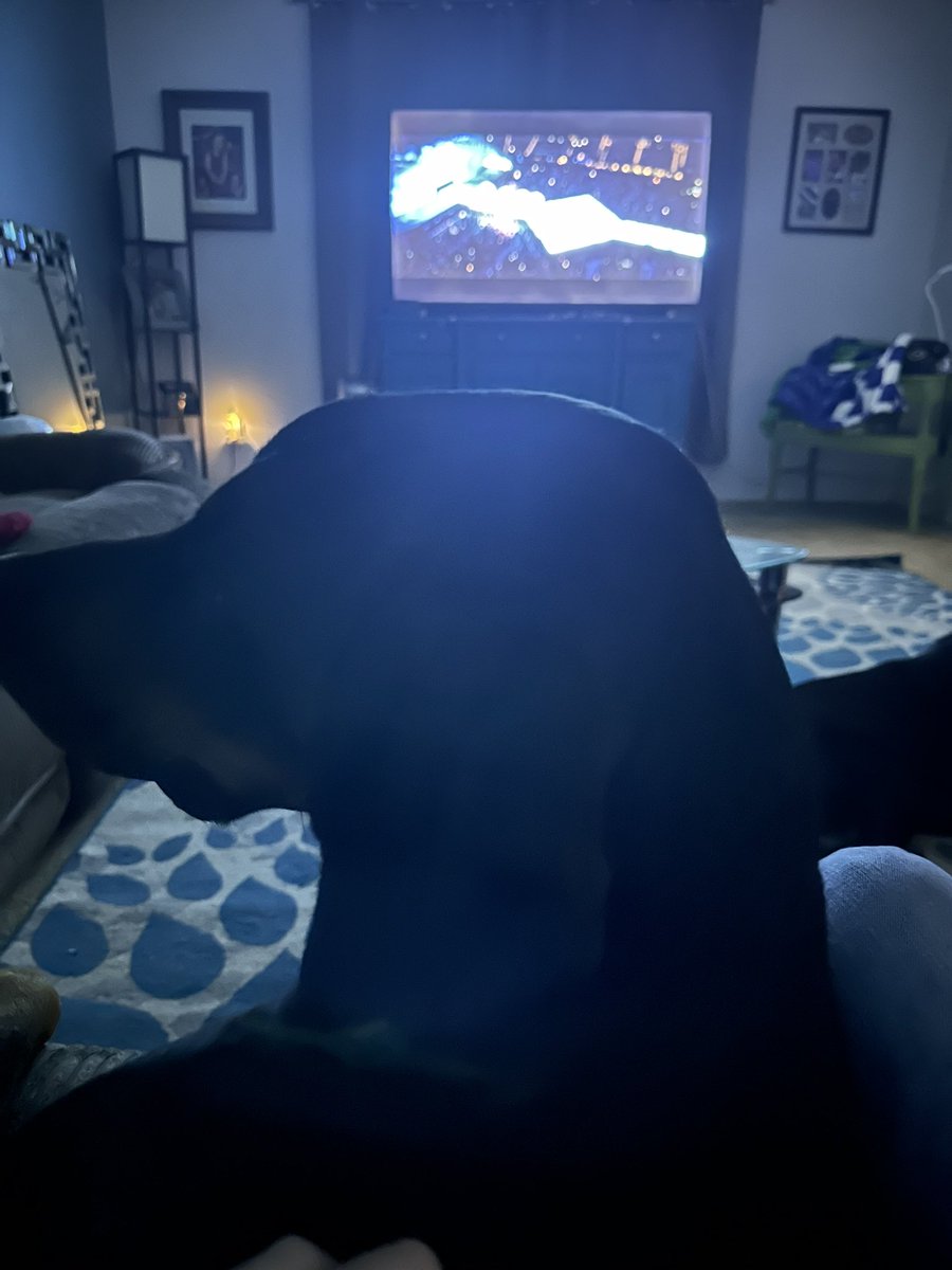Crgreen78's tweet photo. Junior is watching #TSTheErasTourTaylorsVersion  @taylornation13 https://t.co/NMYmrlRxfC