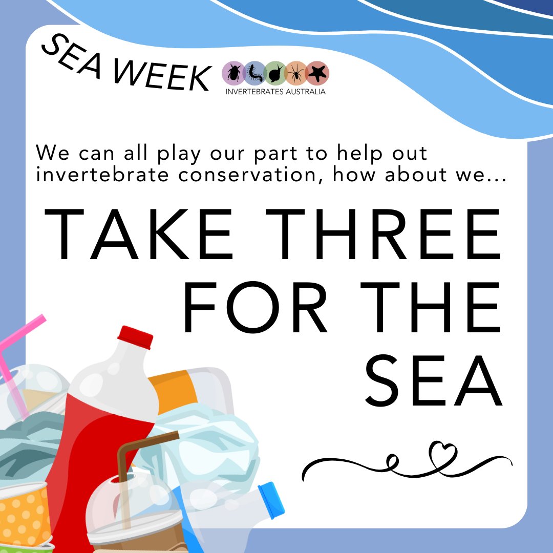 invertsau's tweet photo. 🌊🗑️ At the end of #SeaWeek here's a reminder that we can all do our bit to help make our waters a safer environment for invertebrates and other marine wildlife. Check out @Take3fortheSea to learn more and share this post! https://t.co/2HOtt1KqGd
#ozinverts #Take3fortheSea https://t.co/oPFns3nRKz