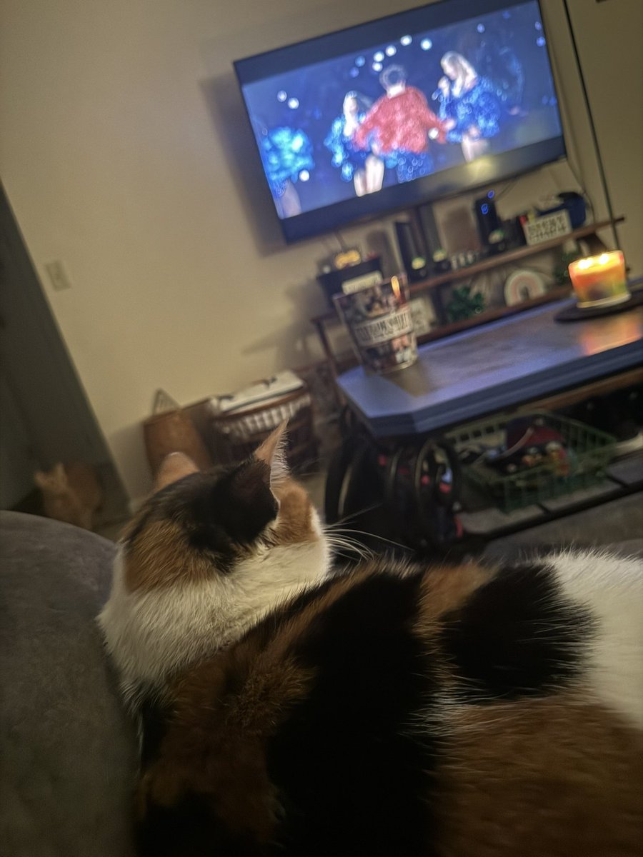 MsLucier's tweet photo. KARMA IS MY CAT WATCHING THE ERAS TOUR (TAYLOR’S VERSION)!
@taylornation13 @CorriThePsych https://t.co/Cgylcu7O6p