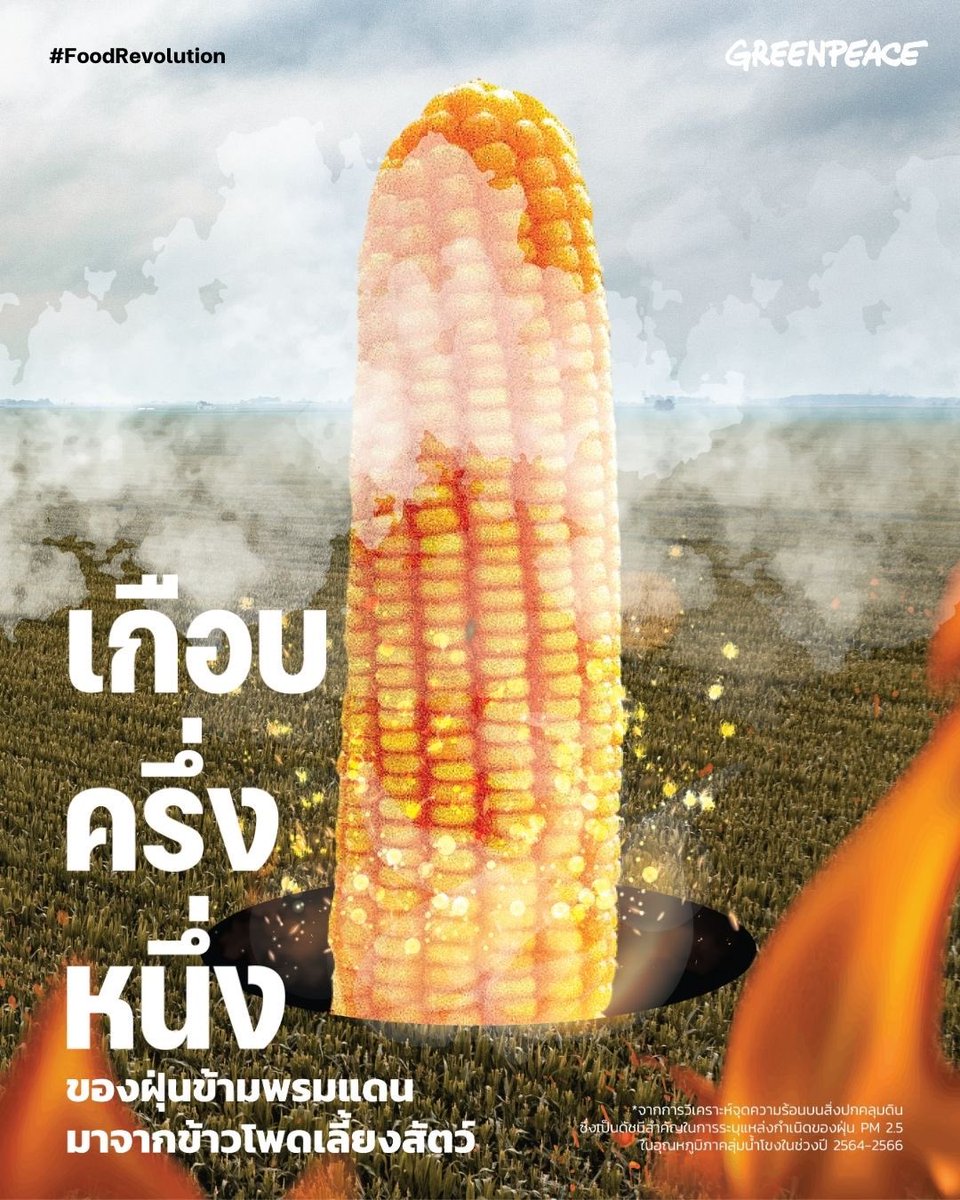 greenpeaceth's tweet photo. รายงานเผย! 
🟡 ข้าวโพดเลี้ยงสัตว์รุกผืนป่าในอนุภูมิภาคลุ่มน้ำโขงเพิ่มเป็น 11.8 ล้านไร่ 
🟡 แปลงข้าวโพดเลี้ยงสัตว์มีจุดความร้อนเพิ่มเป็น 41% ในปี 2566

🔴 กรีนพีซเรียกร้องรัฐบาลเศรษฐา 1 เอาจริงกับภาระรับผิดของอุตสาหกรรมเนื้อสัตว์

(1) https://t.co/GShDrxuHiE
