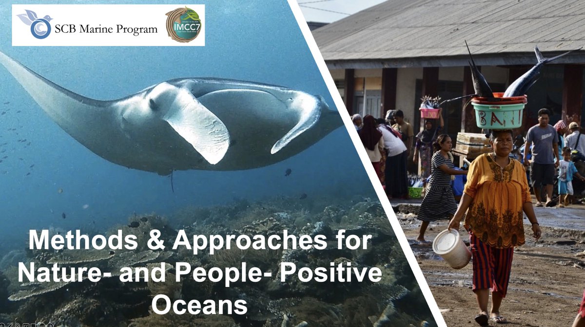 Hey #Ocean Tweeps! 🌊 Are you planning to attend @IMCC2024? 🇿🇦 Are you interested in halting & reversing #marine biodiversity loss, while ensuring coastal communities thrive? 🦈🫂 Do you have a method or case study to share? 🗣️ Join our symposium led by @RachGolden! 👇