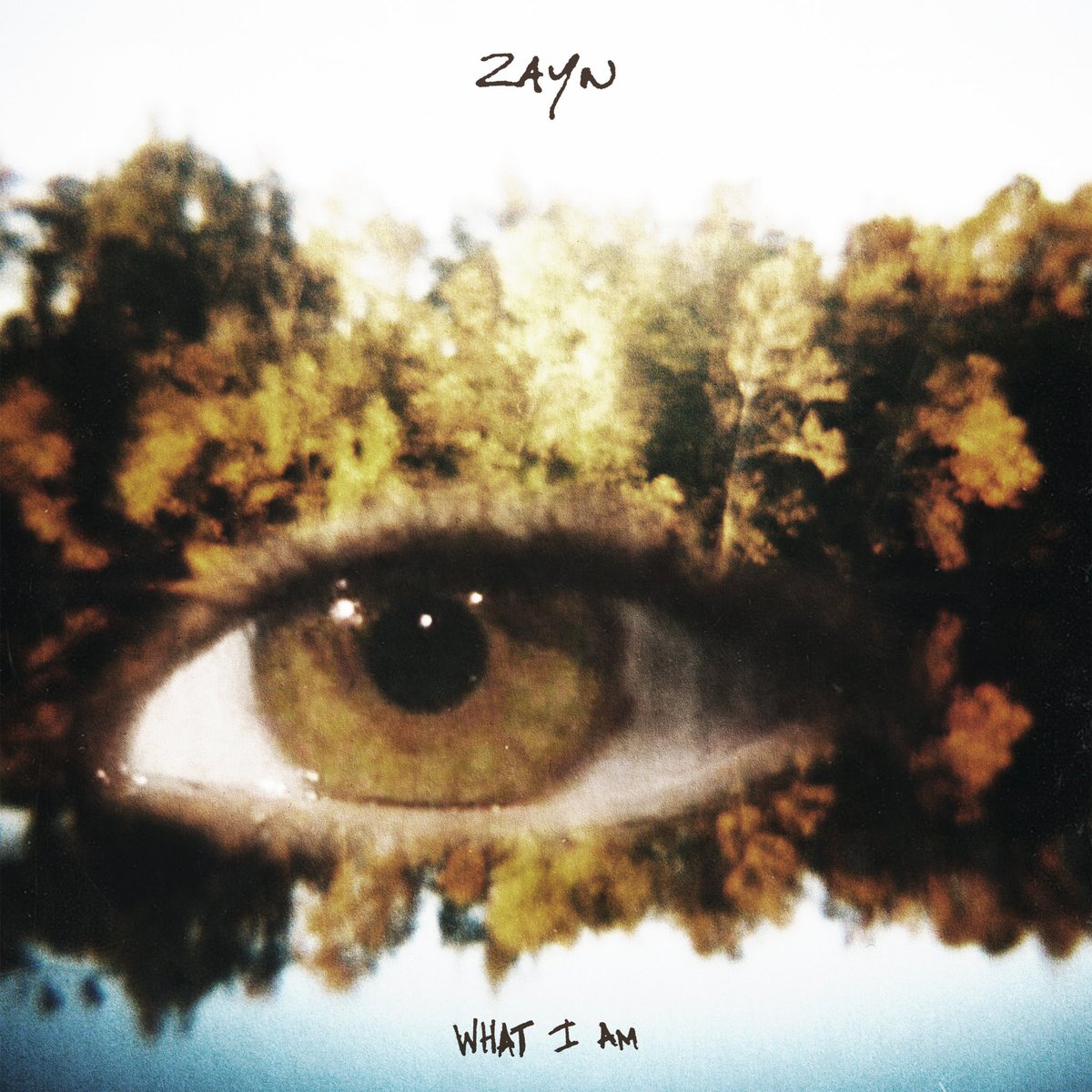 ZAYN has released his new song, “What I Am.”

Stream: music.apple.com/us/album/what-…