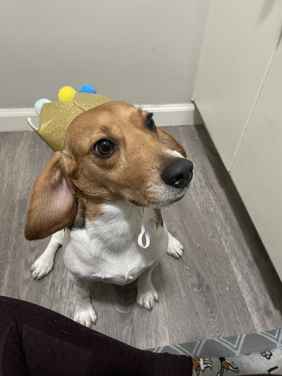 emelturkk's tweet photo. nappy birthday sweet girl 🤍 https://t.co/aXX1zQLjNb