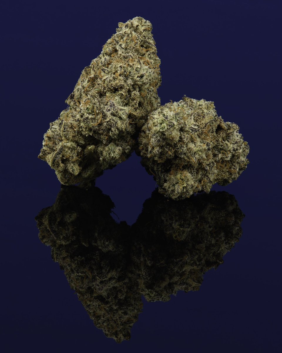 cookiesglobal's tweet photo. that Bat Sh!t bred by Heavyweight Heads 😤 now available coast to coast —> https://t.co/ovKKui244s https://t.co/woX8D445BM