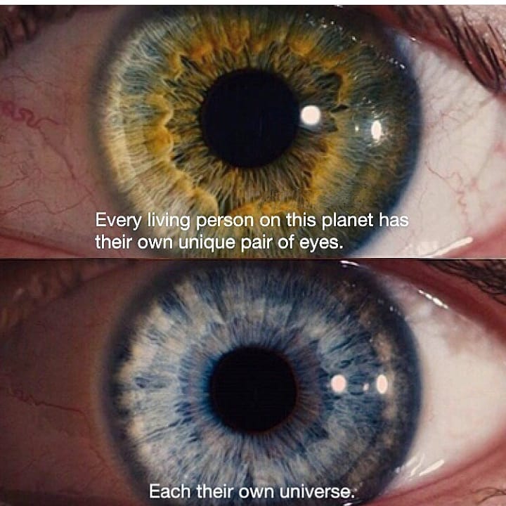 MrNobody010 tweet picture