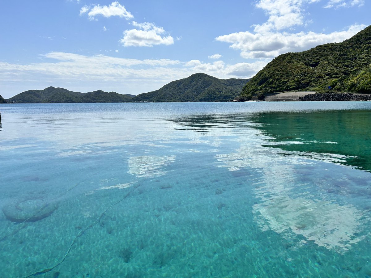 lesgoumi08's tweet photo. 奄美大島だ！いやっほう‼︎ https://t.co/N48TduoUxb