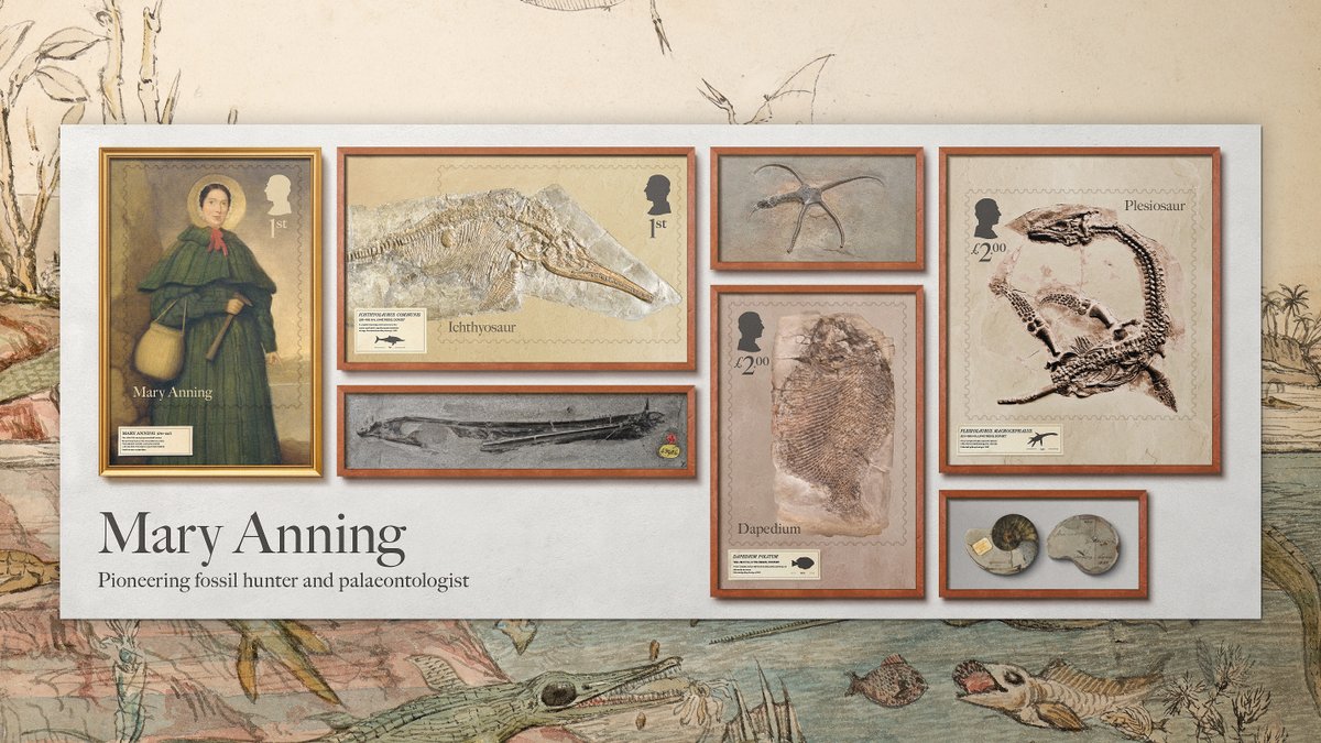 The Chase tweet media