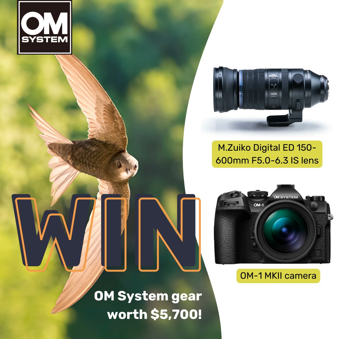 CALLING ALL PHOTOGRAPHERS! Join OM System's 'Reveal Wonder Photo Challenge' on Birda to photograph and log 5 bird species. You could win an amazing OM System camera and lens, (worth $5,700 RRP!) Challenge begins on 29th March! #photographychallenge #omsystem #birdchallenge