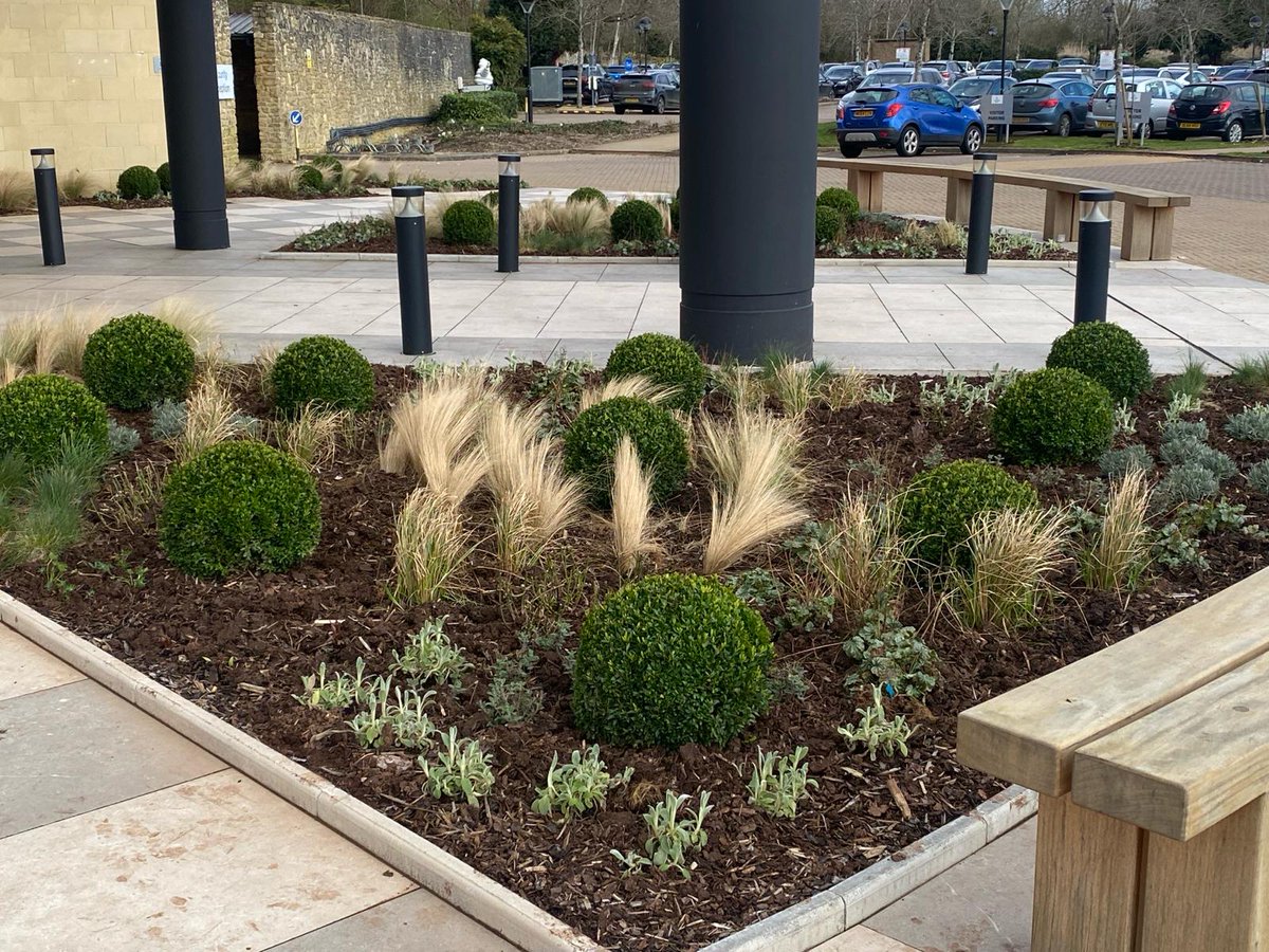 JustPlants's tweet photo. One of our recent projects... 

Our exterior team creating this office entrance. 

(Plants from our friends  @wyevalenurs looking great!)

Looking forward to seeing this develop during 2024
 #officespace #officeplanting #landscapedesign https://t.co/a3gtA7A0zM