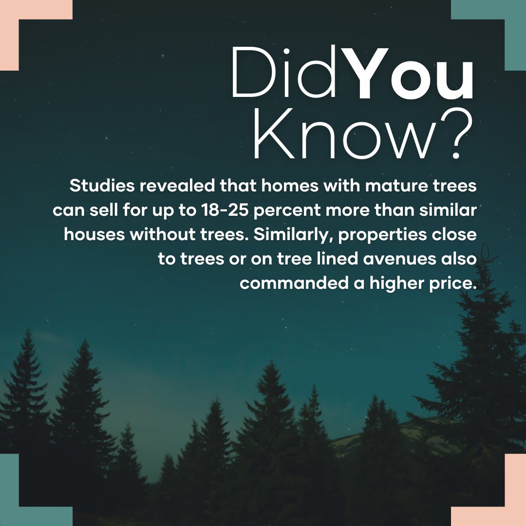 _attheplace's tweet photo. It's finally Friday! Start your morning off with these fun facts about the UK property market 🎉

#landlords #estateagency #lettingagent #manchesterlandlords #fullmanagement https://t.co/oV5ta1xs5p