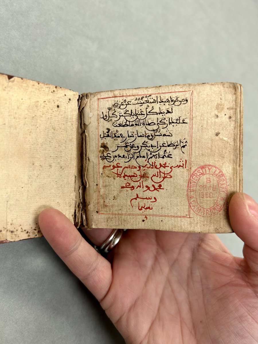 iamkristinesr's tweet image. CUL Or. 1942, Dalāʼil al-khayrāt and prayers, undated, North Africa or al-Andalus.

#cambridgeuniversitylibraries #MiniatureBook #MiniatureBinding #IslamicManuscripts #RamadanKareem