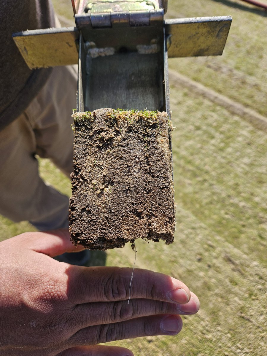 Craig Thompson, CGCS tweet media