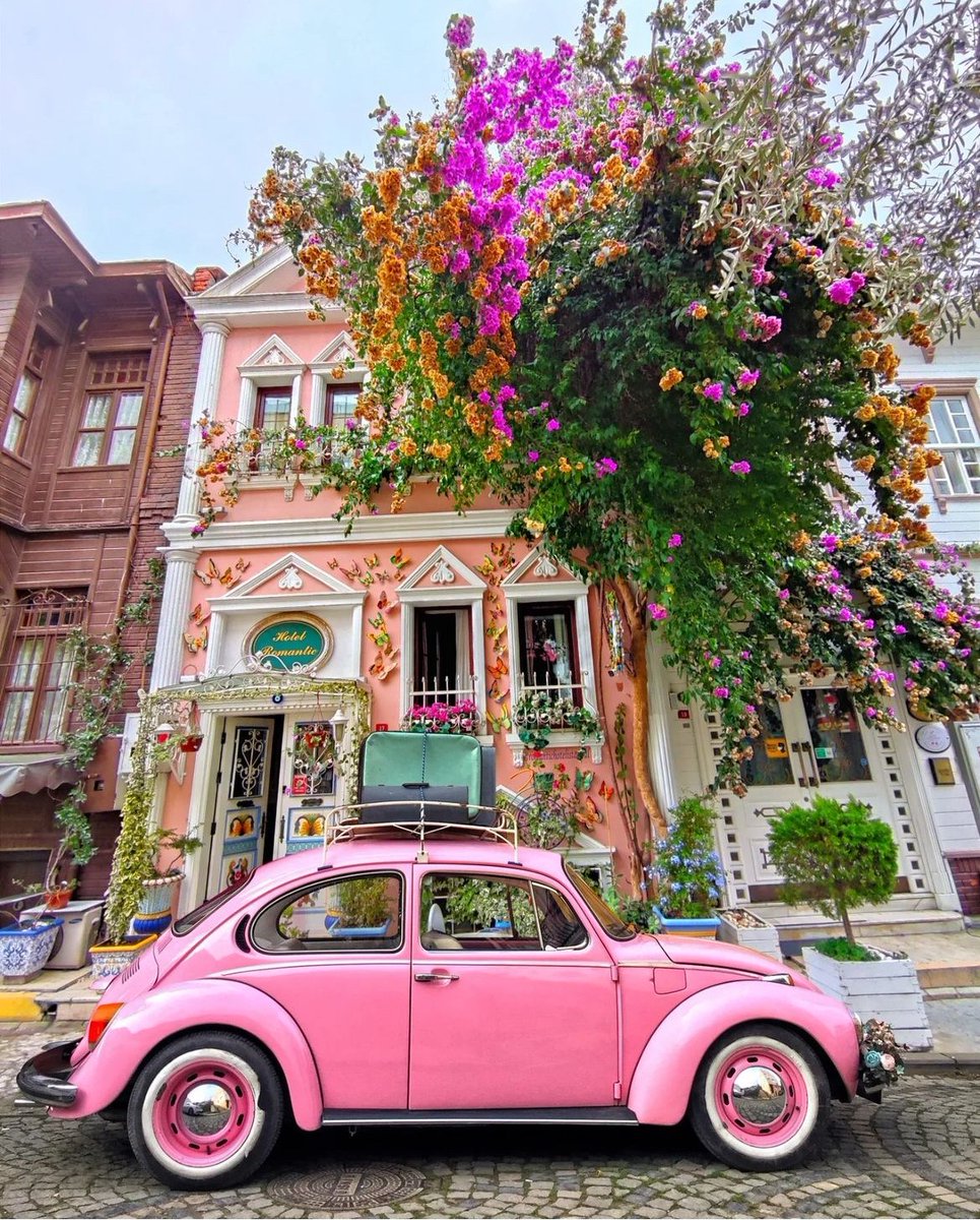 Istanbul, Turkey 📸: Mustafa Tayfun Özcan #Turkey🇹🇷 #istanbul #balat #besiktas #taksim #pinkcar #istanbullife #flowers #spring #architecture #traveling #travelphotography