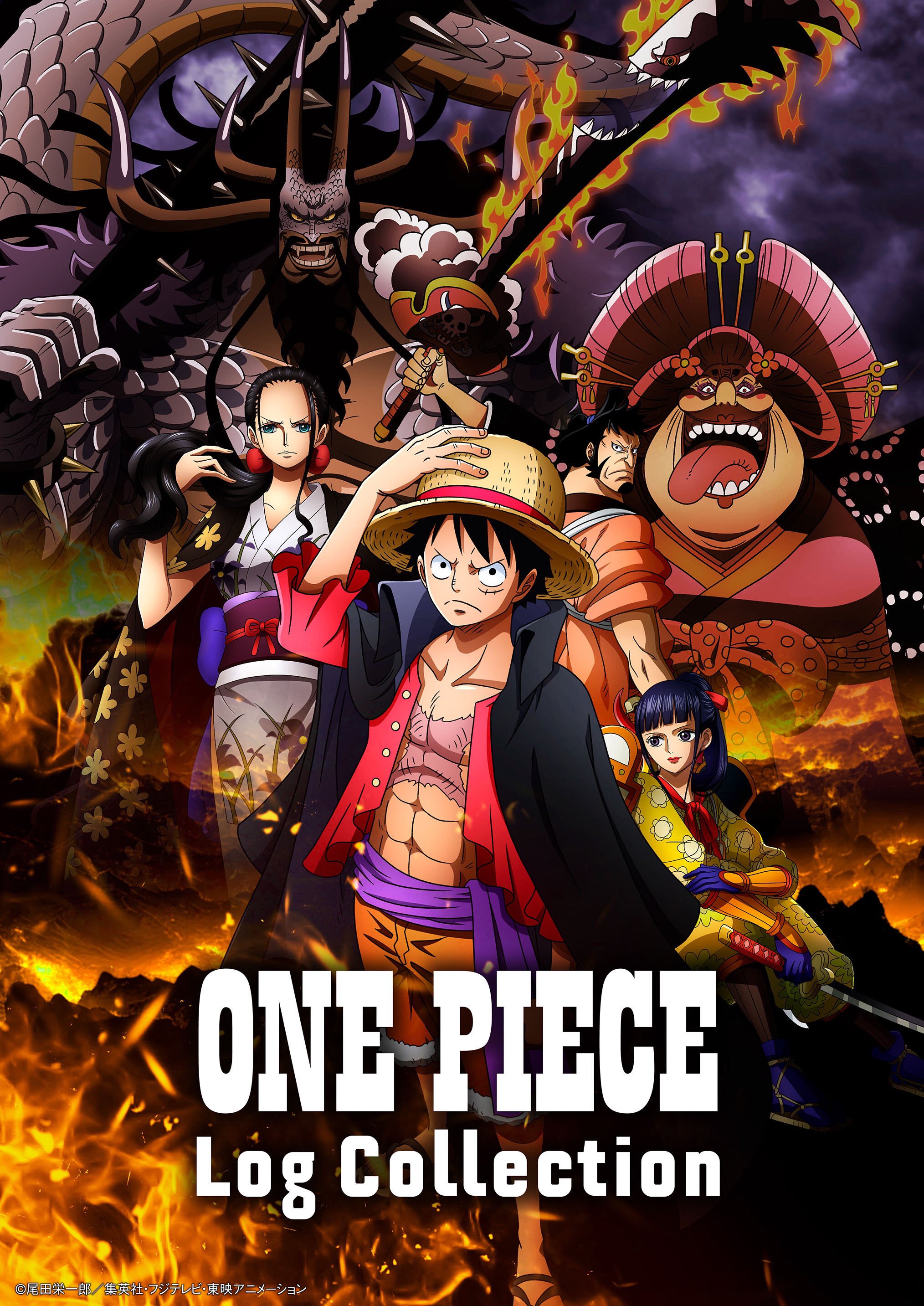Amazon.com: Animation - One Piece Log Collection Special