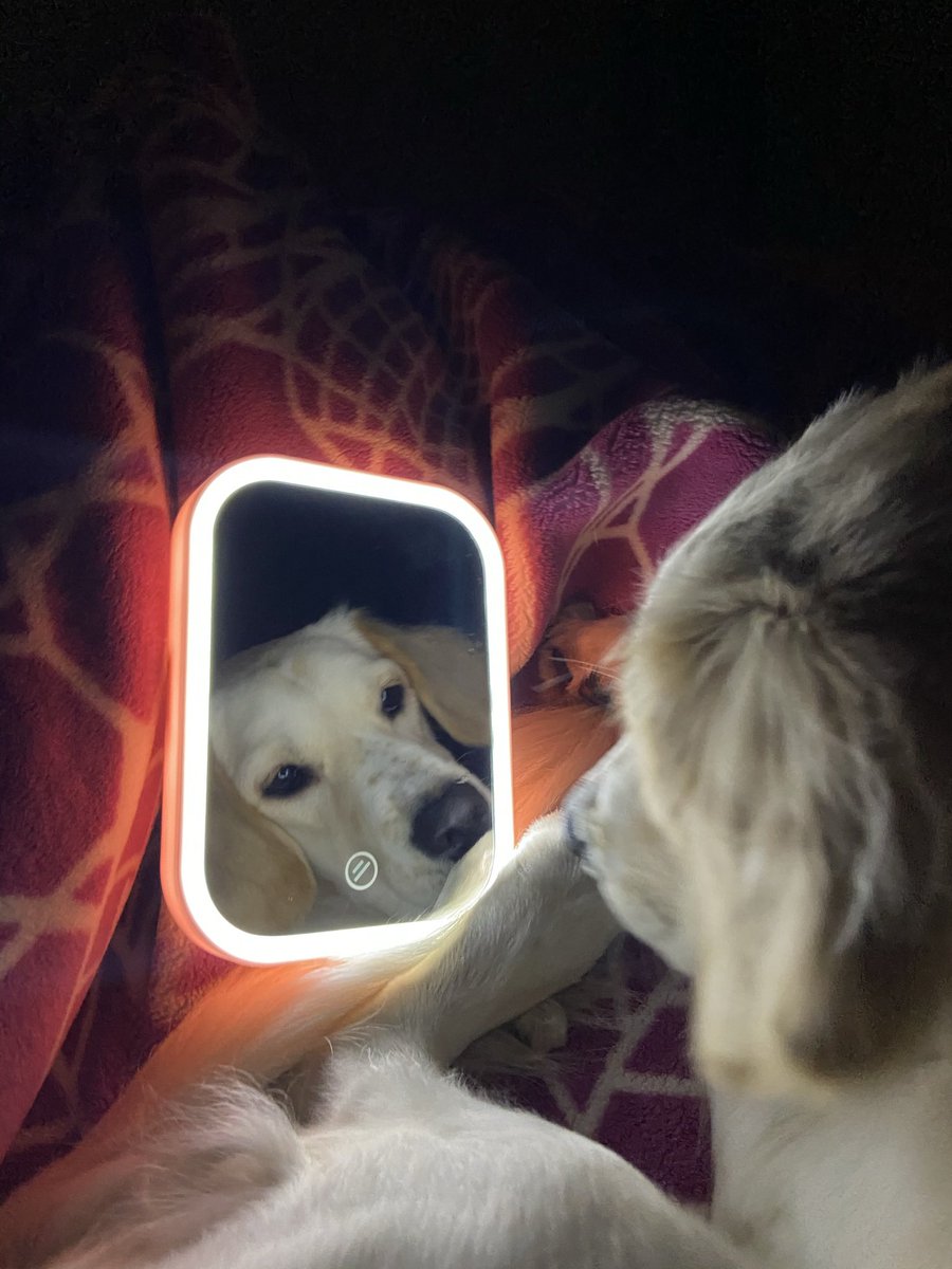 Bugün benim dovummm günümmmm dosdlarımmmm yaslanıyossss 4 yaş oldum 💙🧡