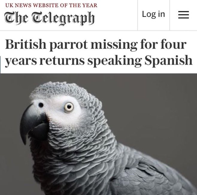 Non-tenure track assistant professor positions