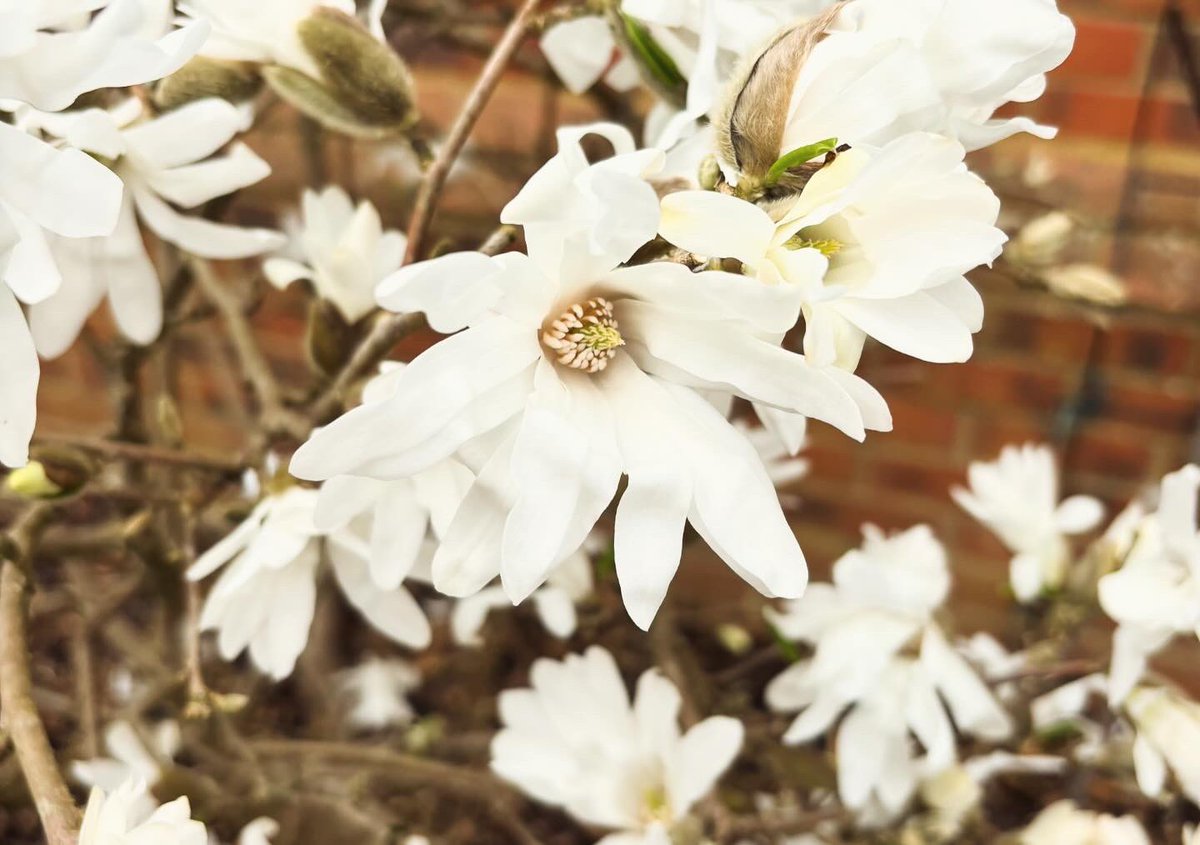 Mama Doughson tweet media