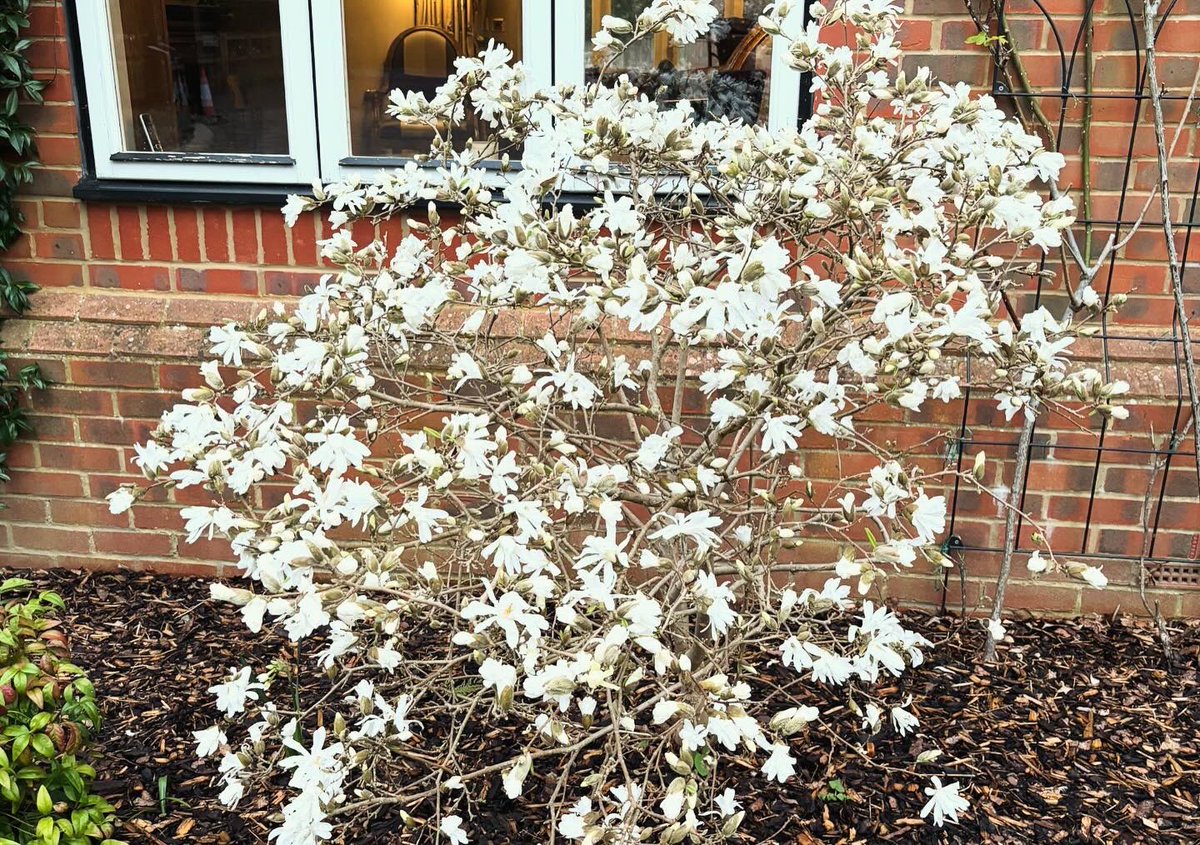 Mama Doughson tweet media