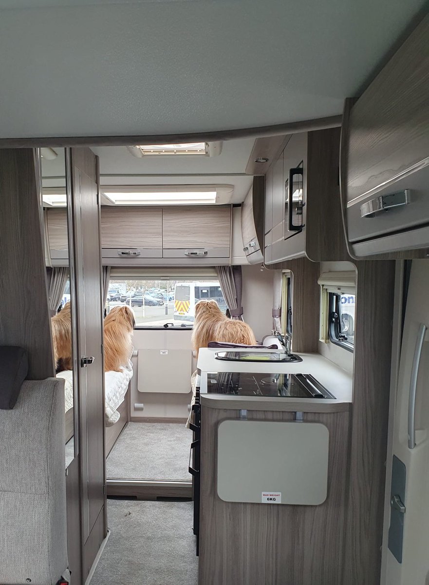 PyreneanThe's tweet image. Morning everyone. We’ve been missing in action for a while getting ready for the arrival of this! Exciting adventures to come🚐 #motorhomeadventures #dogsoftwitter #dogs