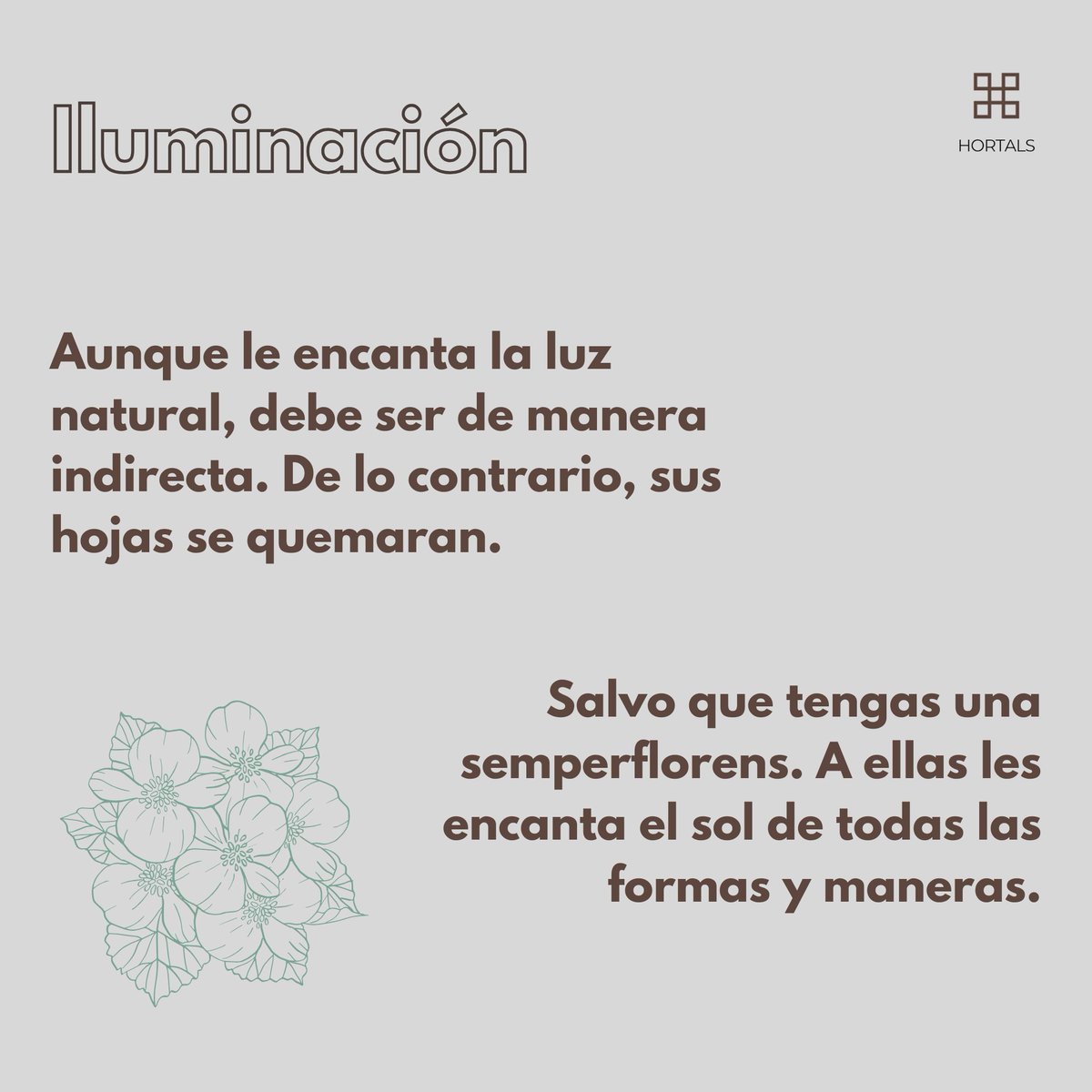 hortals's tweet photo. 👩🏼‍🌾 ¡Hola, hortelanos! 👨🏻‍🌾

El otro día os enseñábamos lo bonitas que están las begonias de la #AgroTienda de Hortals del Parque del Agua 🌸.

#Hortals #HuertosUrbanosZaragoza #Begonia #HuertoUrbano #Zaragoza https://t.co/BYyJbB0Y3c
