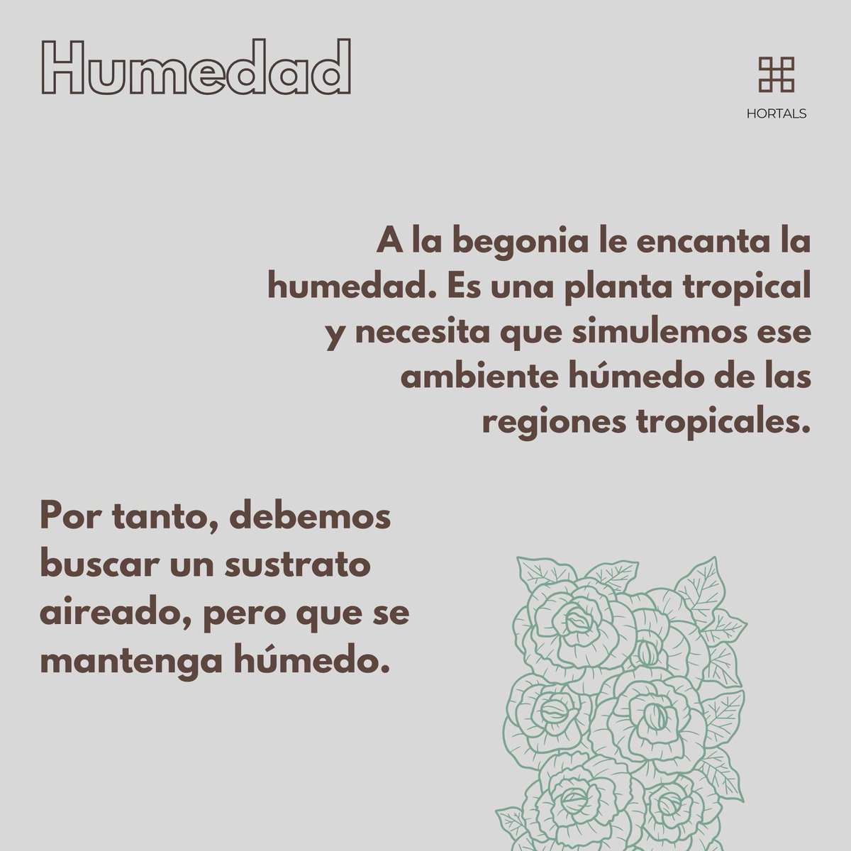 hortals's tweet photo. Hoy os traemos todos los cuidados imprescindibles para que sigan tan hermosas cuando las llevéis a casa.

⬇️ ¡Descúbrelos! 😍 https://t.co/4KeiUxOzUz