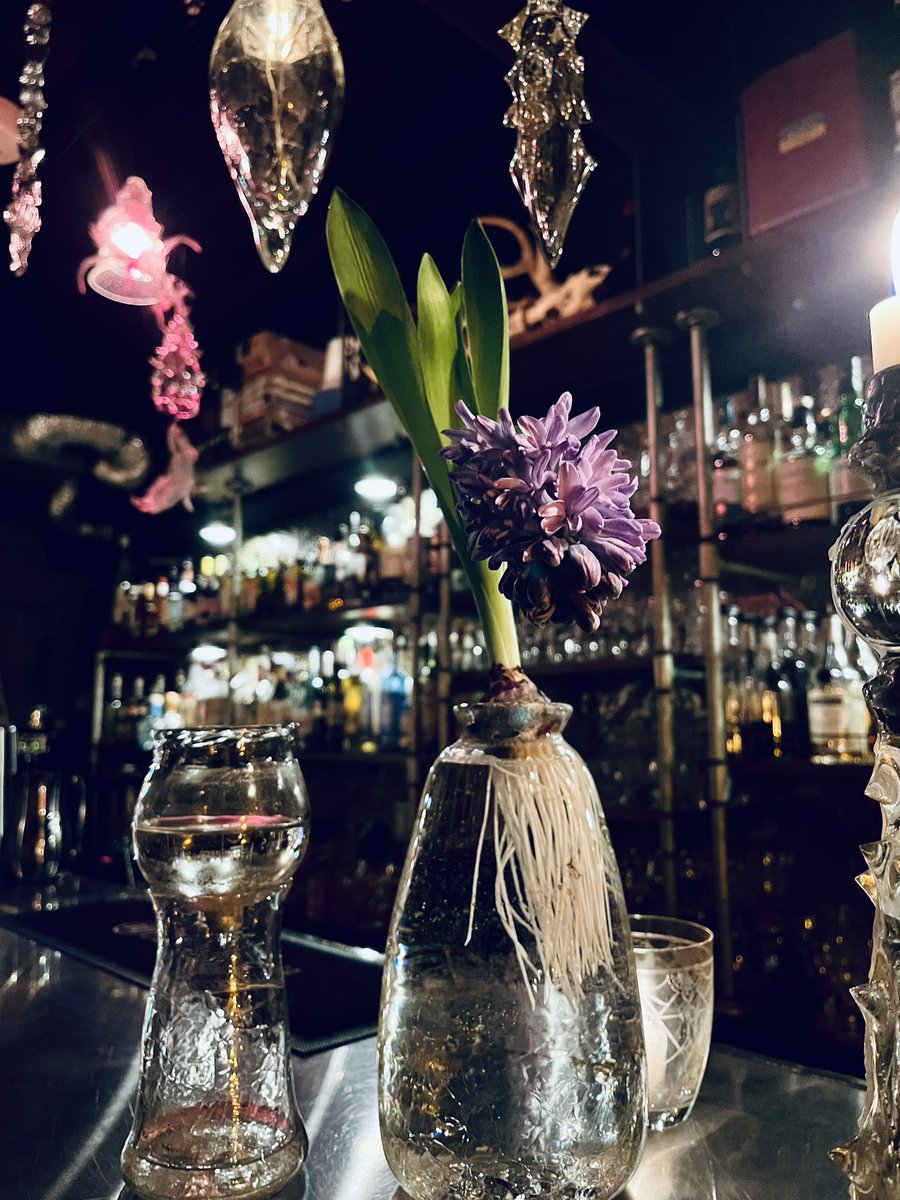 p_pxxx's tweet photo. はじまりました
沢山飾らせて頂きました🕯️
お待ちしております ✴︎
#barBlindOwl × #PPCRYSTAL
#PpxEvent https://t.co/yBMiB1MuKR