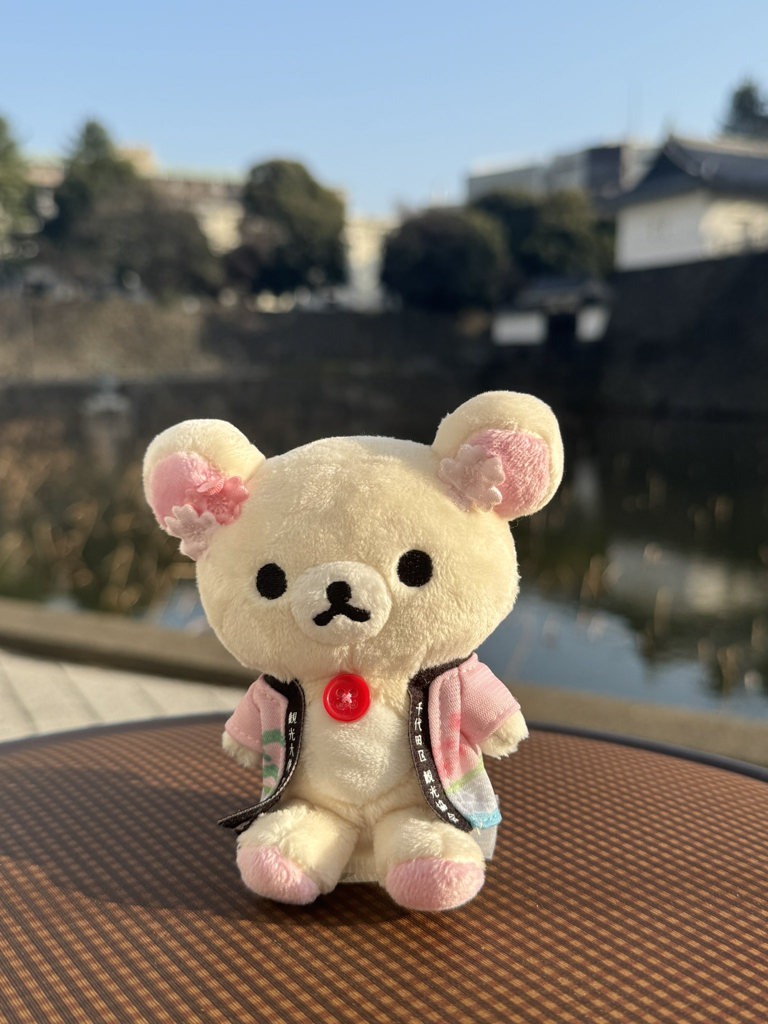 千代田区観光協会 on X: 千代田区観光協会 on X: