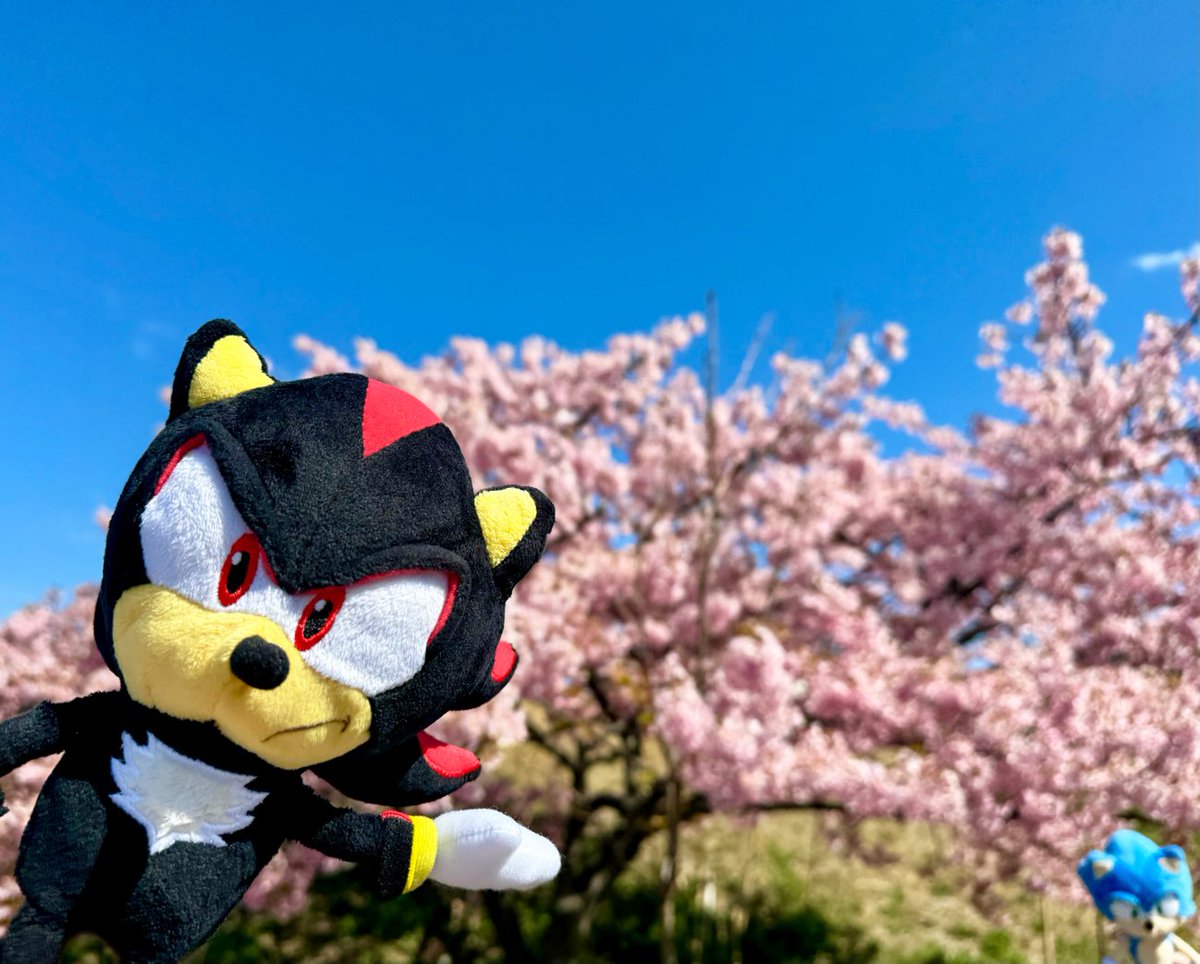 エスケーエイト ぱぺっとちゃーむ ジョー cherry blossom SK