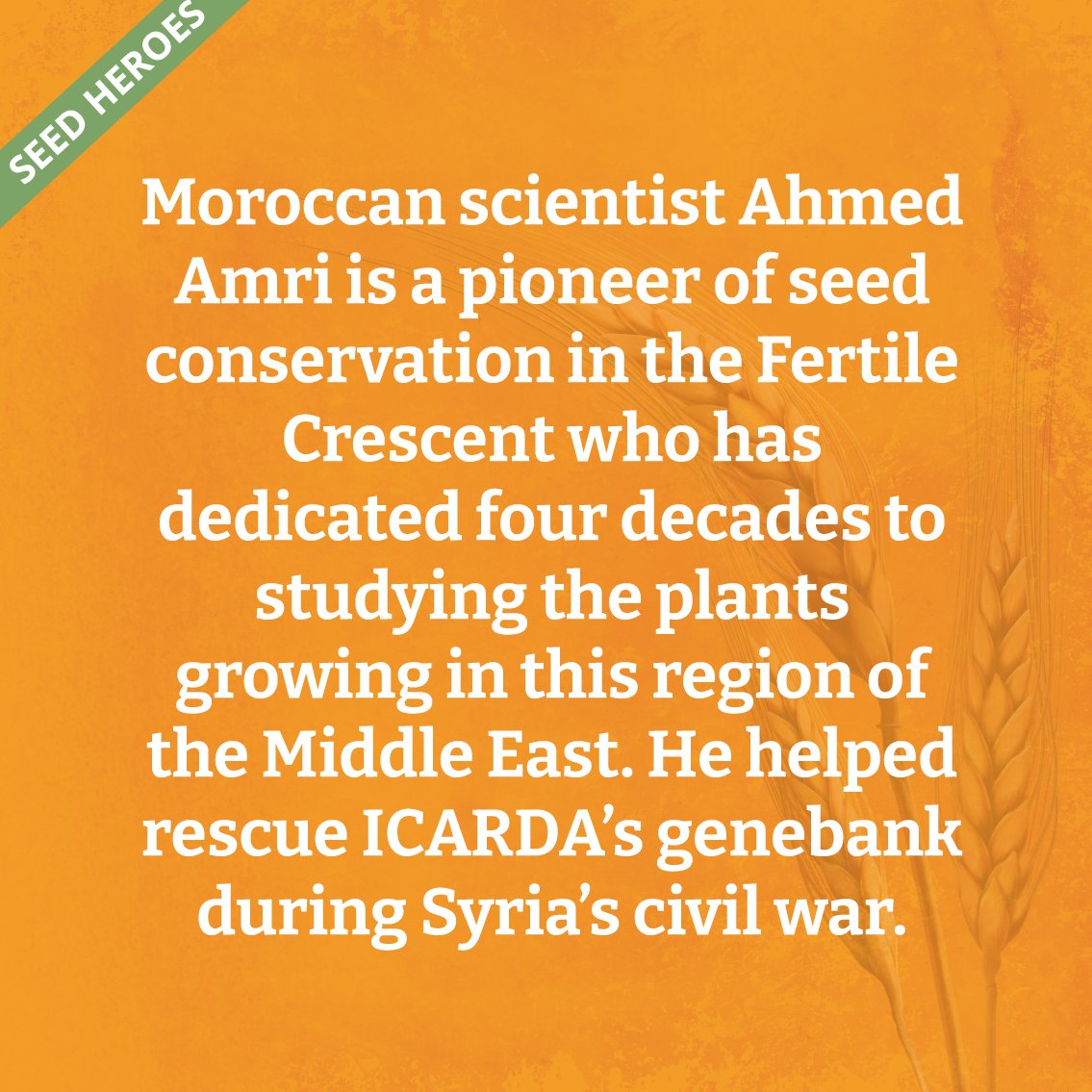 ICARDA tweet media