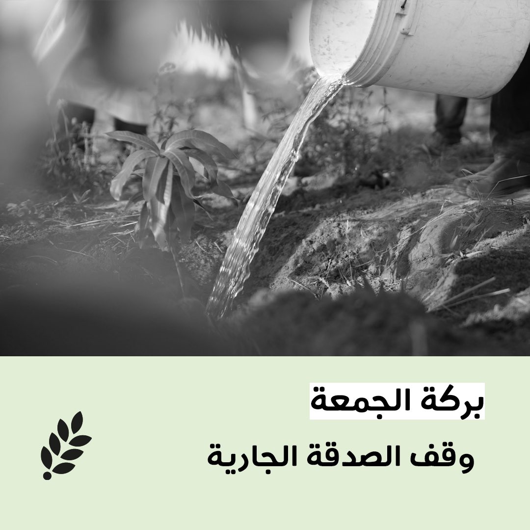 directaidorg's tweet photo. #بركة_الجمعة🌱

الوقف أصل ثابت ...وأثر ممتد لاينقطع بإذن الله

للمشاركة في وقف الصدقة الجارية
https://t.co/tG83R5L5qP

#العون_المباشر https://t.co/b4KOoIKslE