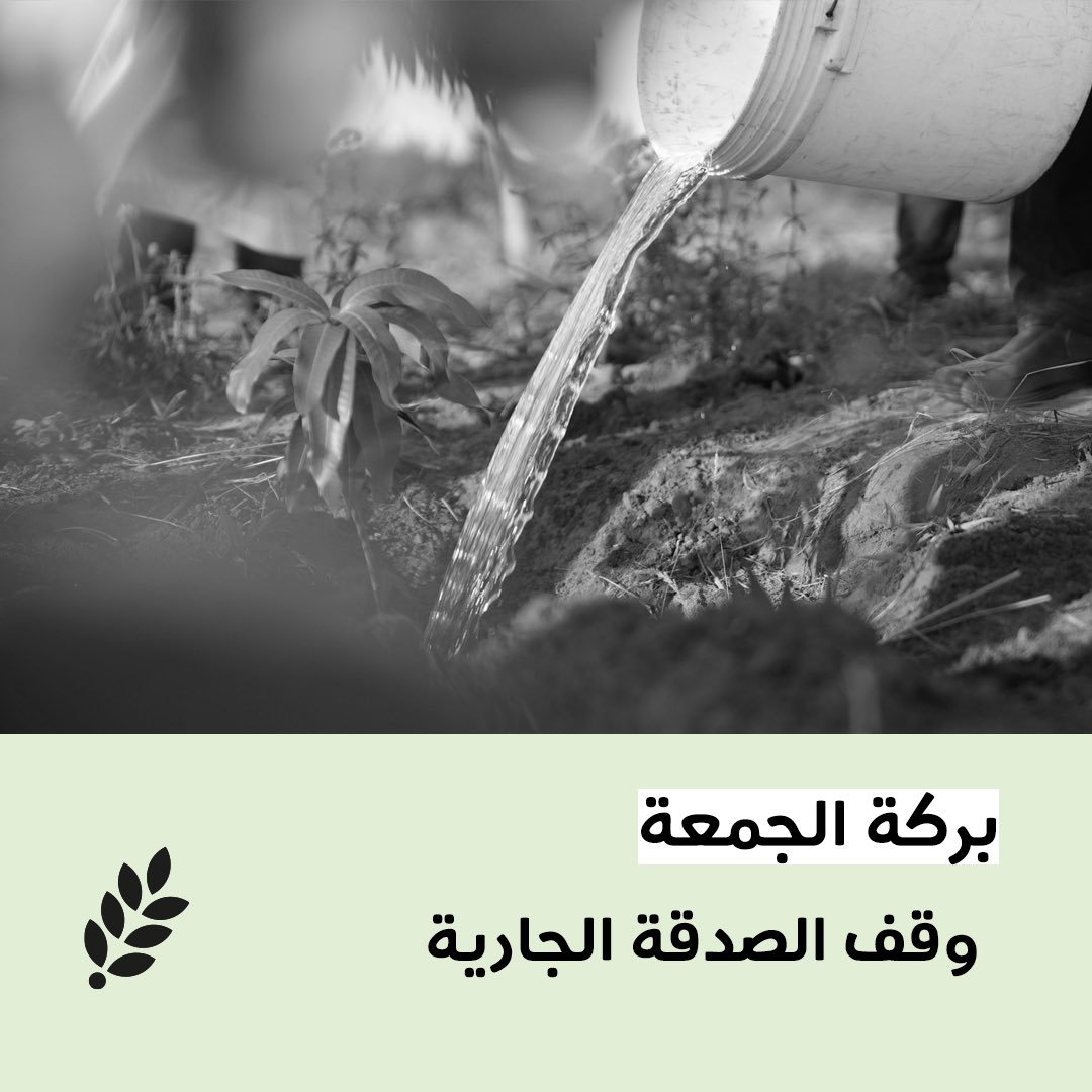 #بركة_الجمعة🌱 الوقف أصل ثابت ...وأثر ممتد لاينقطع بإذن الله للمشاركة في وقف الصدقة الجارية directa.id/sj24tt #العون_المباشر