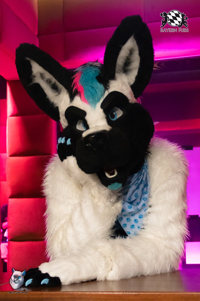 "Hello there!"

#BFD8 #FursuitFriday

🐺 <a href="/Ryanwuff/">Ryanwuff</a> 
📸 <a href="/FuwoWolf/">Fuwo</a>

Ihr wollt uns unterstützen? Super!
Dann hier entlang, unter
bayern-furs.de/ueberuns/verei…