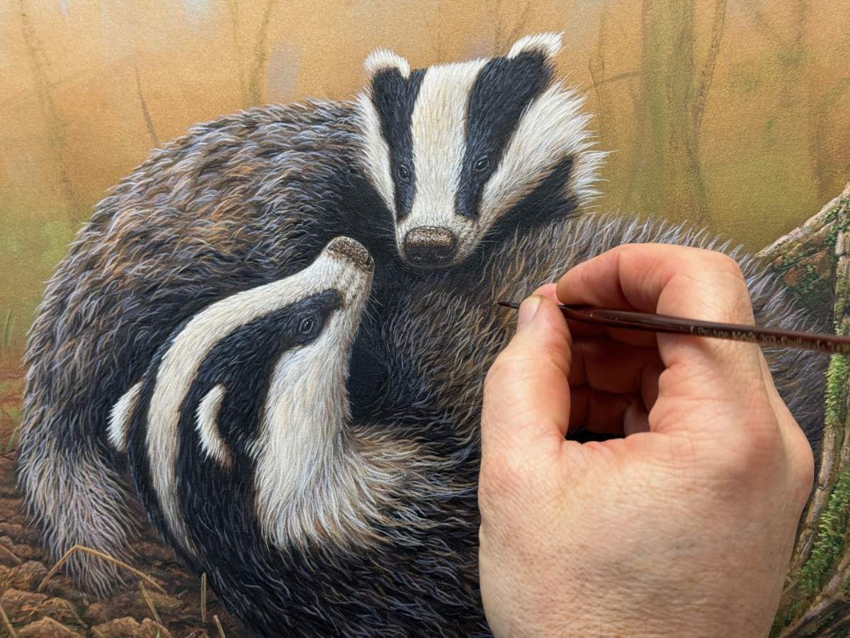 New badger painting 🦡🎨🖌Can you help me think of a title? 🖼 #wildlifeart #badger