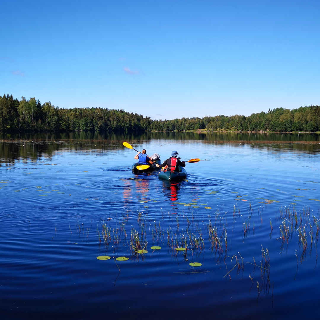 Self-guided Packrafting & Hiking in Tiveden (Sweden) - a wild camping adventure exploring the lakes & forests of Tiveden🌞 A 4 or 5-day tour, flexible start dates throughout the summer. A packraft is a brilliant way to explore land & water! 🏕️🚣🥾 naturetravels.co.uk/pack-rafting-s…