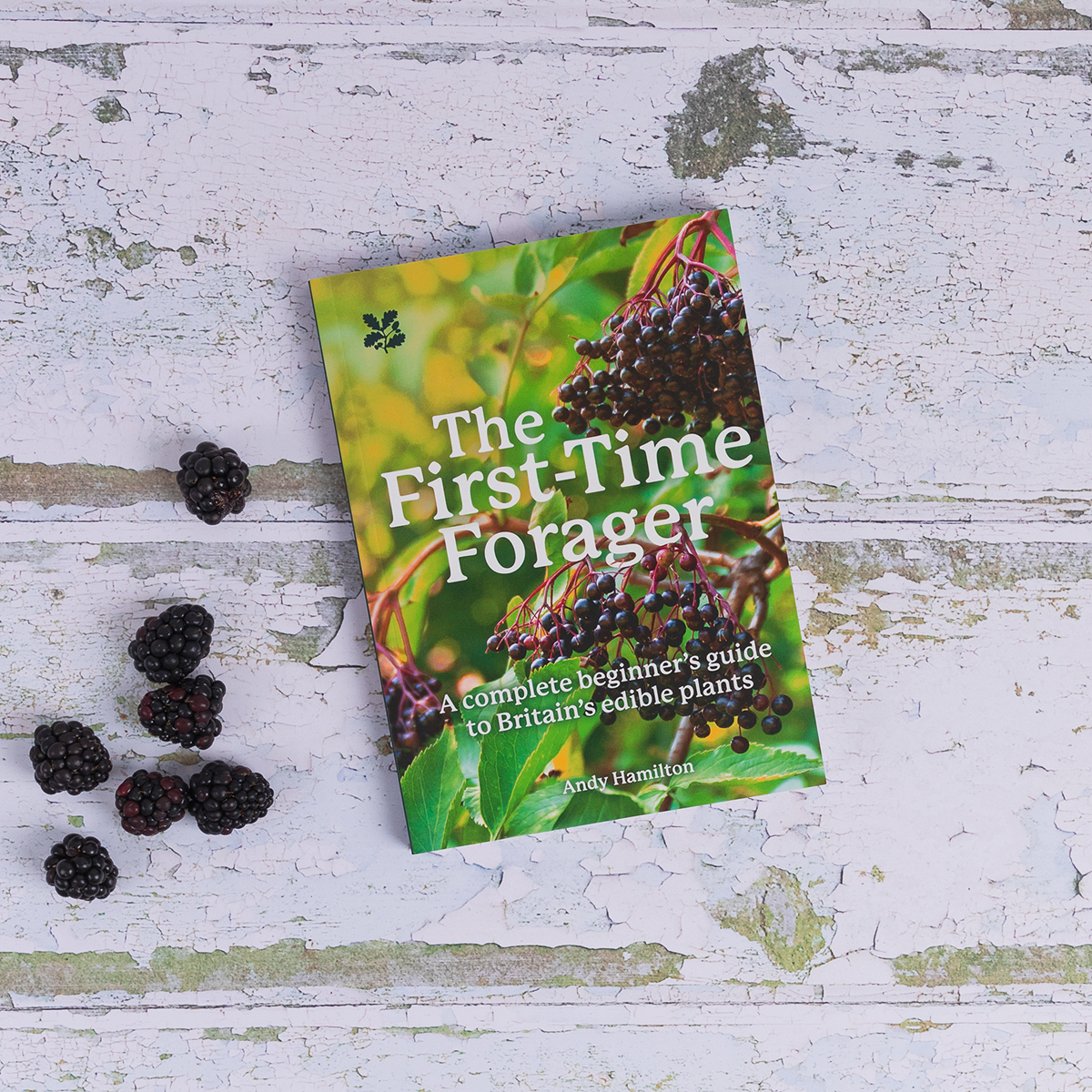 Coming soon... The First-Time Forager by Andy Hamilton is a safety-first guide to edible wild plants that are easy to identify, abundant in the wild, and - most importantly - taste great! Pre-order now: ow.ly/q3Wq50QSwxI