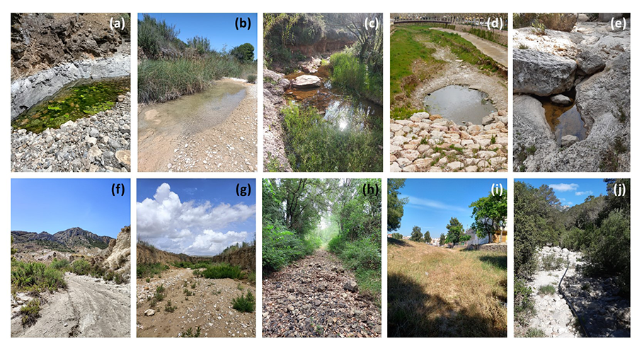 BiologiaUB's tweet photo. #PapersBiologiaUB-@IRBioUB | 💧 Actualment, quins desafiaments s'han de vèncer si es vol avaluar adequadament l'estat ecològic dels rius temporals?

🏞️ Com podem garantir la conservació i gestió d'aquests ecosistemes únics? 
https://t.co/24EhiCkiA3 #bioindicadors https://t.co/MSQ1DT0zoi