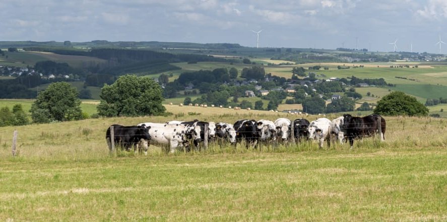 La transition est évidemment importante et l'agriculture y contribue, mais pas au mépris du revenu agricole ! Des mesures équilibrées qui améliorent la situation de nos agriculteurs doivent être acceptées! Allez-vous aussi vous opposer aux nouvelles mesures que l'UE va annoncer ?