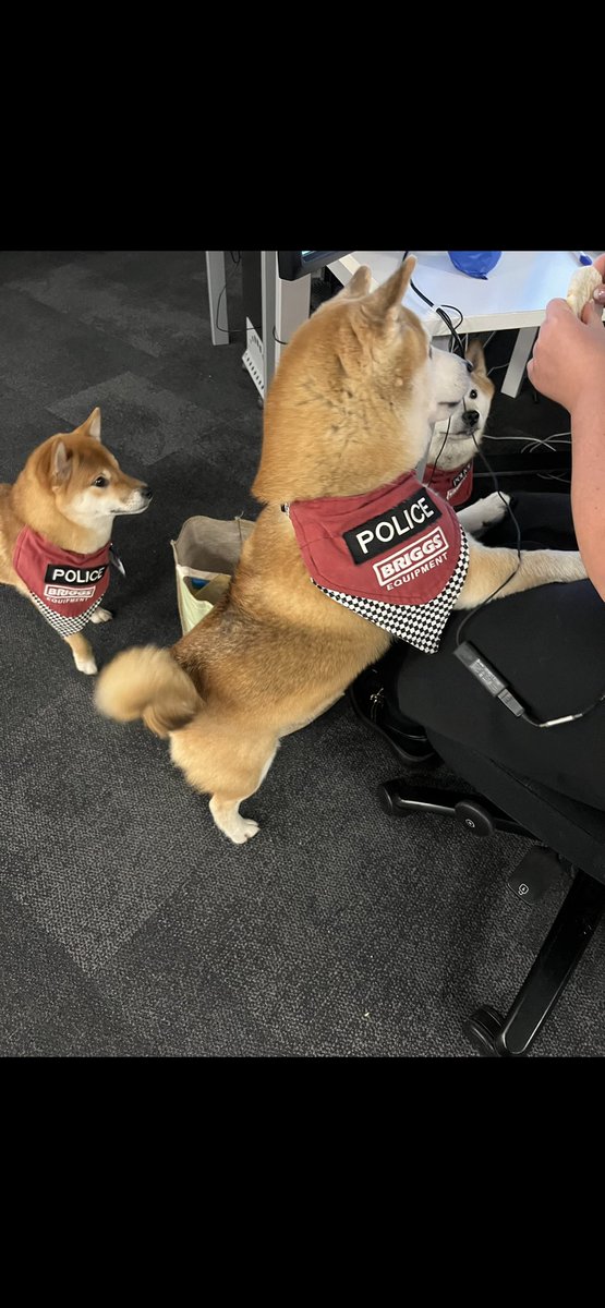 Almolka's tweet image. Paw patrol visited @MerseyPolice @MerseyFire at the Joint command centre last night to see our fabulous 
Hero’s in headsets 
❤️ 💙 💚 🐾  🐾 xx  #herosinheadsets #controlrooms #team999