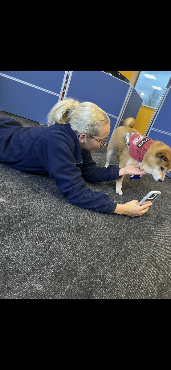 Almolka's tweet image. Paw patrol visited @MerseyPolice @MerseyFire at the Joint command centre last night to see our fabulous 
Hero’s in headsets 
❤️ 💙 💚 🐾  🐾 xx  #herosinheadsets #controlrooms #team999