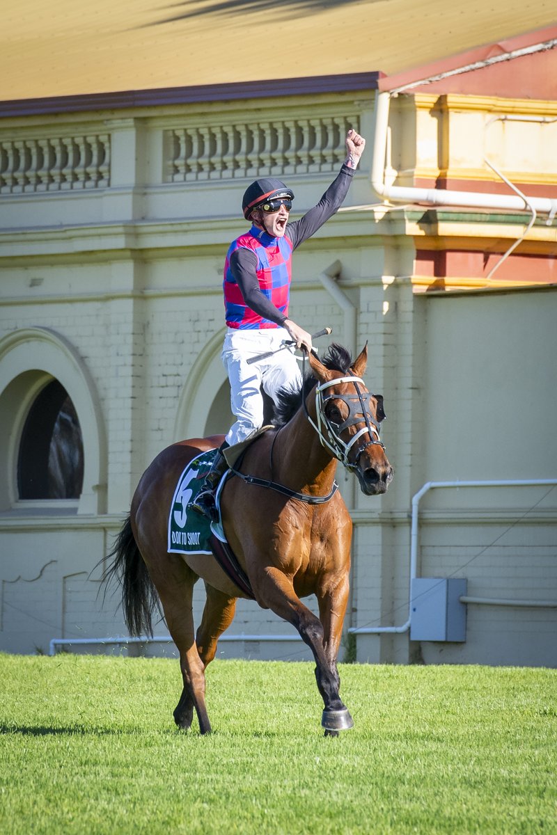 Dom To Shoot, sensational winner of the 2023 Group 1 Dummond Golf-Northerly Stakes, will battle it out tomorrow in the 2024 $4M All-Star Mile at Caulfield. 🏆 The Sean and Jake Casey-trained WA galloper is named after @WestCoastEagles Grand Final hero Dom Sheed, who famously