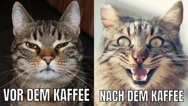 ProtoMike tweet media