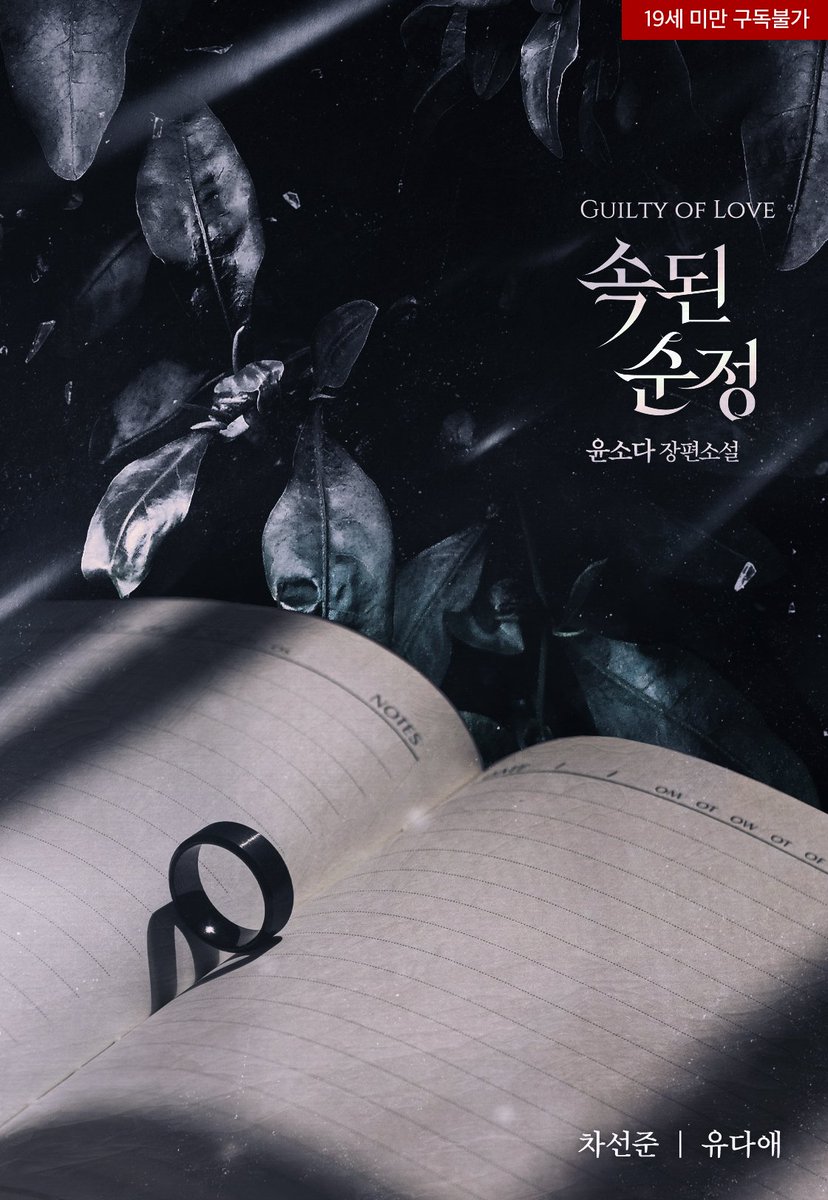 여러 방향으로 작업해보았던 B안도 함께 첨부합니다.
즐거운 작업이었습니다. 🥰