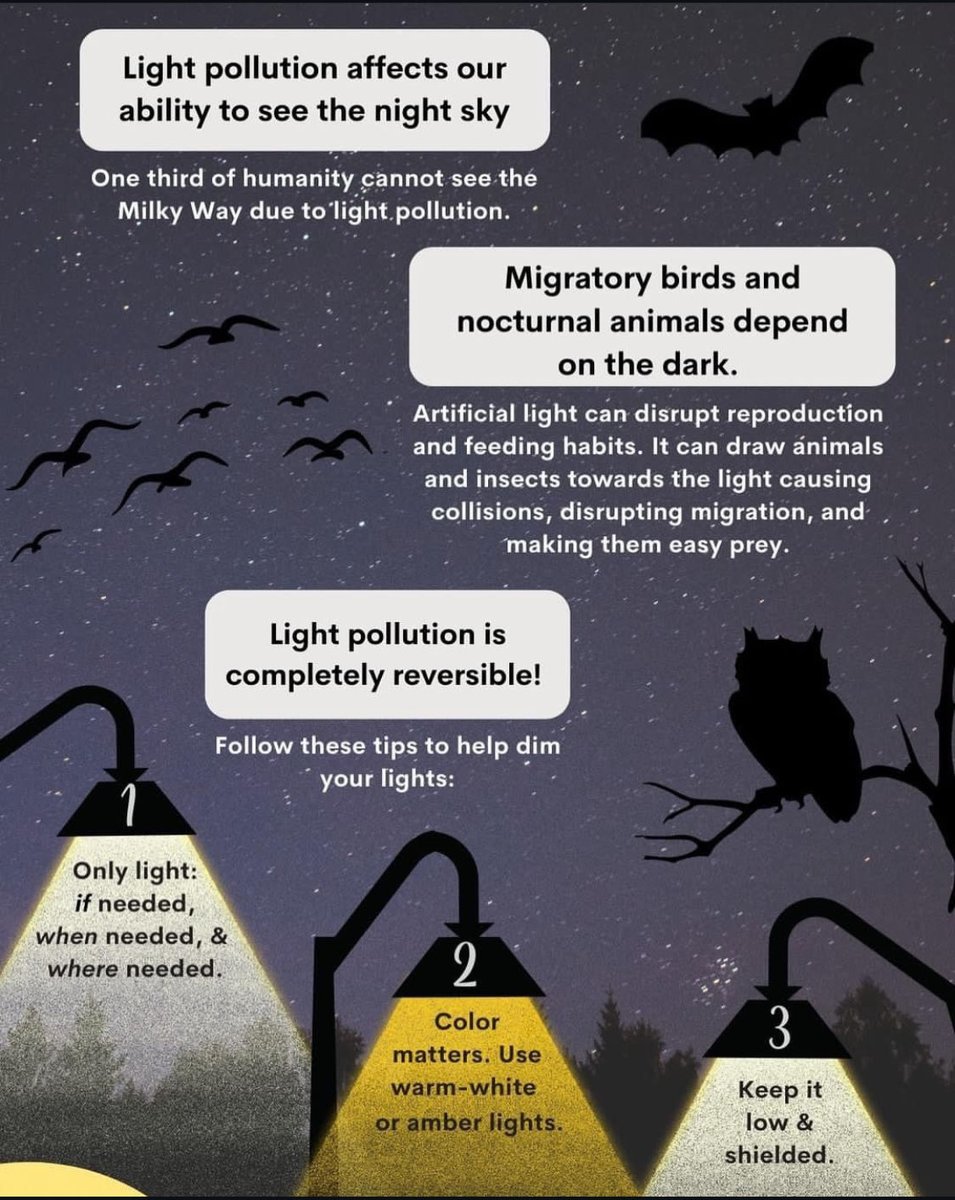 #LightPollution #Wildlife #MigratoryBirds #Birds #Nocturnal #Pollinators #NocturnalPollinators #BirdMigration #Spring #SpringMigration